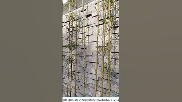 Trồng cây xanh như nào để tạo cảnh quan sân vườn