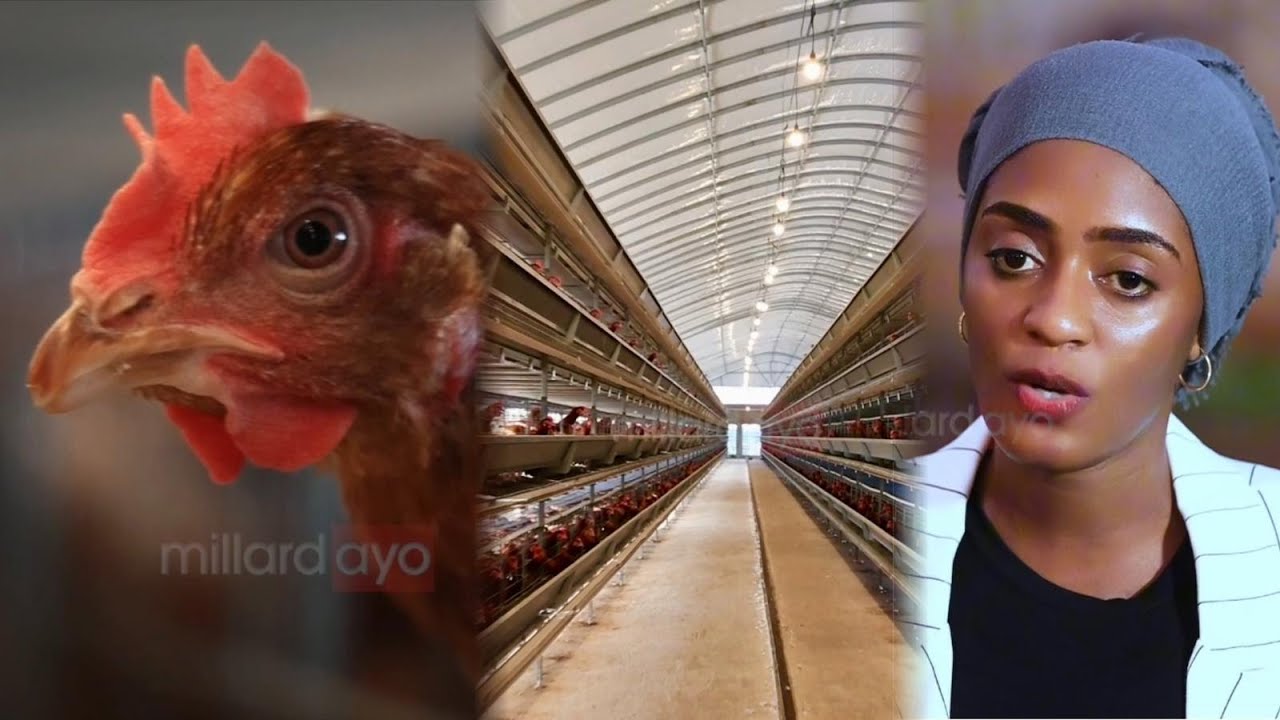 MTANZANIA ALETA MITAMBO YA UFUGAJI NA KILIMO TOKA CHINA 