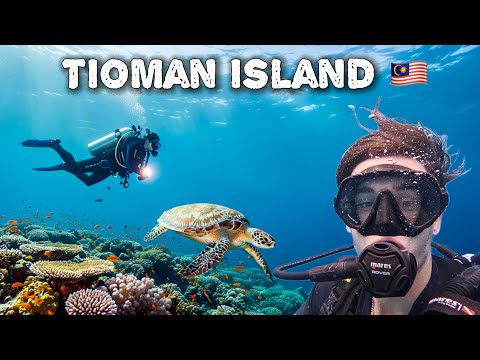 Is the diving worth it on Tioman Island?