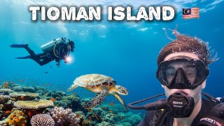 Is the diving worth it on Tioman Island?