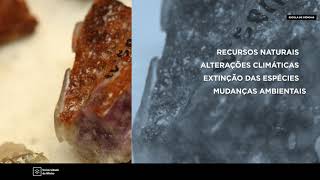 Ensino Fundamental II geologia Biologia - Recursos de ensino