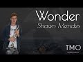 Shawn Mendes - Wonder (TMO Cover)