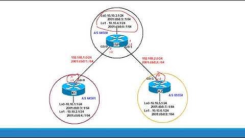 Multi-Protocol BGP (MP-BGP)
