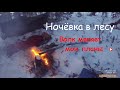 НОЧЁВКА в лесу зимой | Волк меня испугал