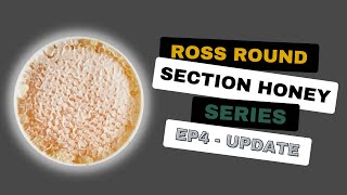 Ross Rounds Ep 4