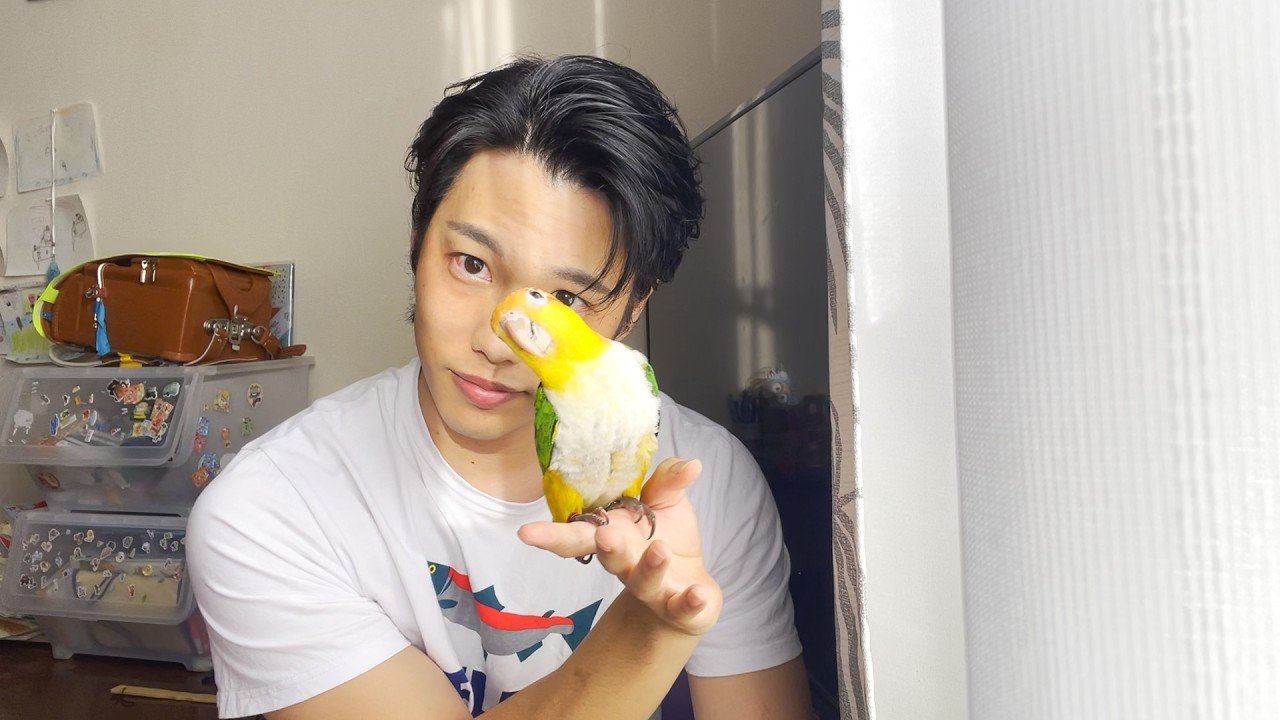 鳥と俺の休息