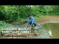 Chincholi wildlife sanctuary forest   