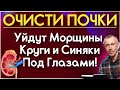 ОЧИСТИ ПОЧКИ - Уйдут Морщины, Круги и Синяки Под Глазами!