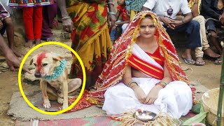 Top 10 Unbelievable People Who Married Animals - AllTimeTop