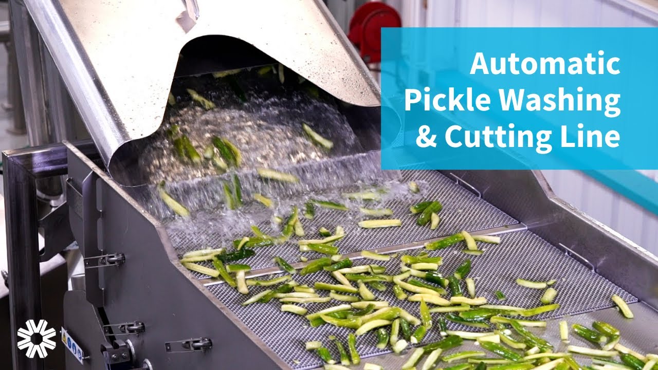 Pickle Cutting Machine
