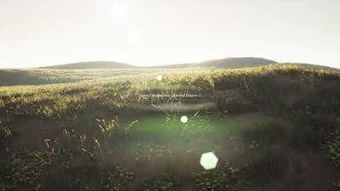The Field  | Quixel Megascans | Unreal Engine 5