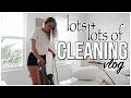 Cleaning Vlog | Sunday Speed Cleaning | Renee Amberg