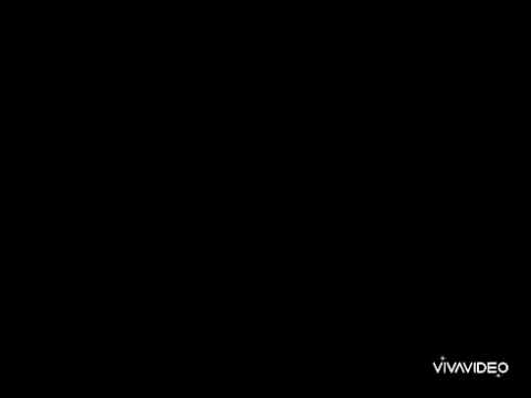 عارف كان أجمل شيء في حياتي ميكال رزق ورده الجزائريه
