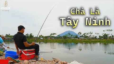 Câu Đài | Câu cá Hồ Chà Là Tây Ninh cùng Mồi câu cá Khó Chịu
