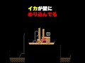 イカが壁にめり込んでるけどどうする?