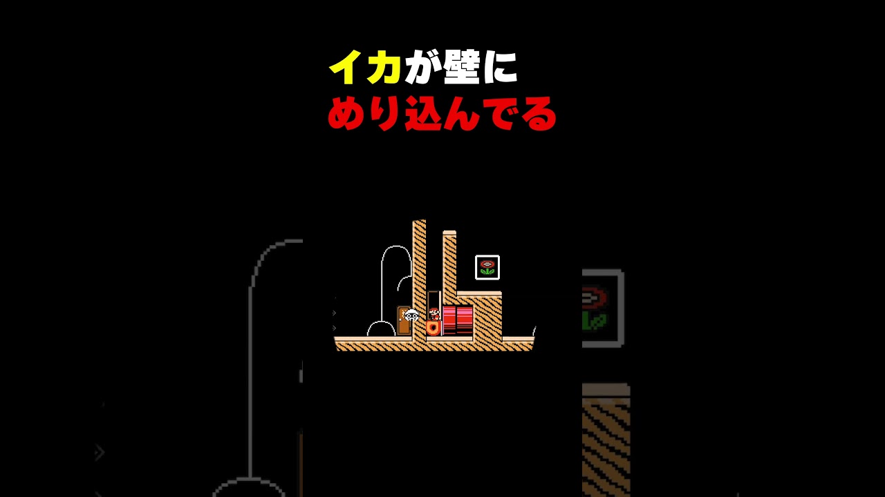 イカが壁にめり込んでるけどどうする?