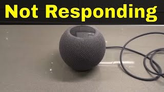 Homepod Mini Not Responding-Easy Solutions To Try Out
