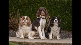 Justphotos 2020 Client Highlights