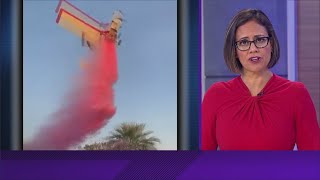 Plane Crashes During Gender Reveal Party