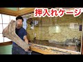 押入れでオオトカゲを飼うためのセッティング!