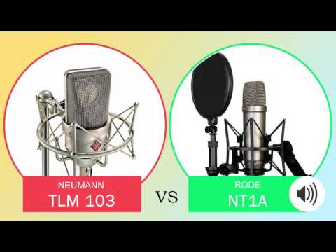 Neumann TLM 103 vs Rode NT1A