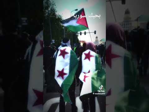 بحبك سوريا