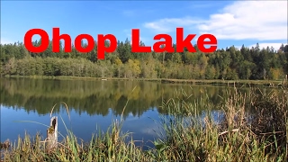 Ohop Lake