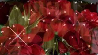 Download lagu Demis Roussos - ˙·٠•●✿  A Flower Is All You Need ✿●•٠·˙