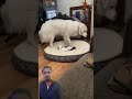 #dog#funnyvideo #