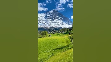 قرآن كريم القارئ صلاح بو خاطر من سورة (الواقعة)