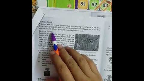 Class 4,Sub  EVS Chap  6, Plants Life  A