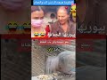 فتاة مراهقة ودرس خاص في طريقة الشقلباظ في غية الحمامة فين شرطة الحمام يوميات صحفي مطحون