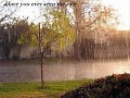 Have you ever seen the rain cover yvind stlan borch