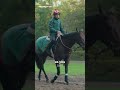 "He’s the Horse to Beat!" 🐎 | The Daryz Documentary OUT TODAY! 🎥