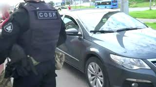 В Тверской области мошенники вырубали леса под видом расчистки сельхозугодий