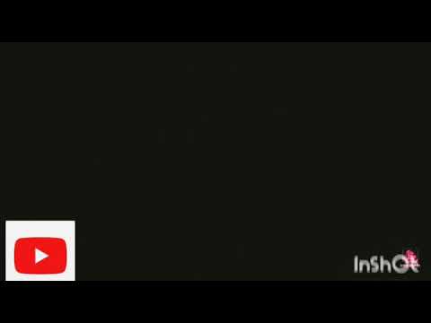 Maganin Bindiga A Tike Jr