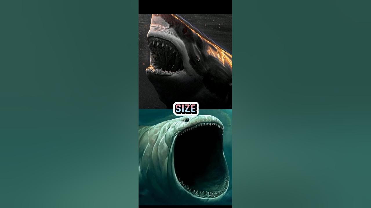THE BLOOP VS MEGALODON - YouTube