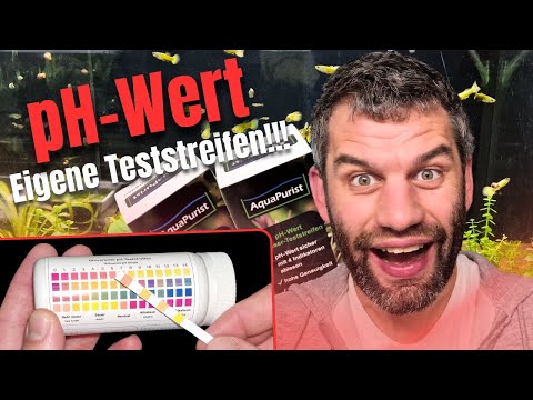pH-Wert leicht & sicher ablesen! 💧 Kein Kalibrieren, keine Probleme