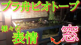 プラ舟ビオトープ３【様々な表情】８０Ｌの世界　Small biotope with window