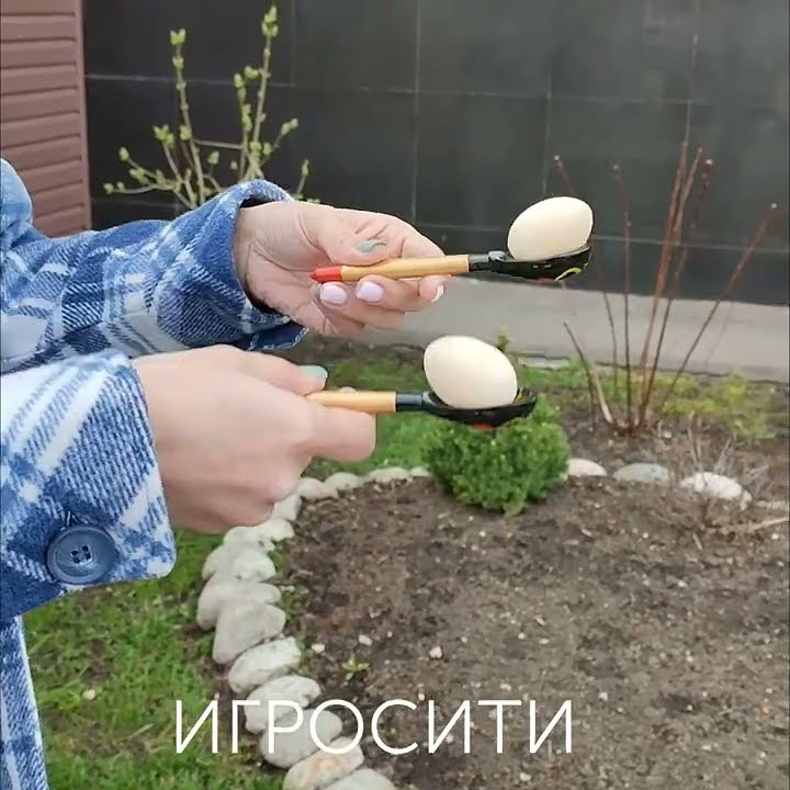 Игра "Донеси яичко" - YouTube