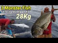 kondisi Cuaca Buruk 3 MONSTER Takluk ditangan Master Fishing _ Very Big Fish 😳