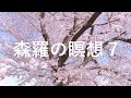 <森羅の瞑想7> ピアノ・インプロヴィゼーション ウォン・ウィンツァン