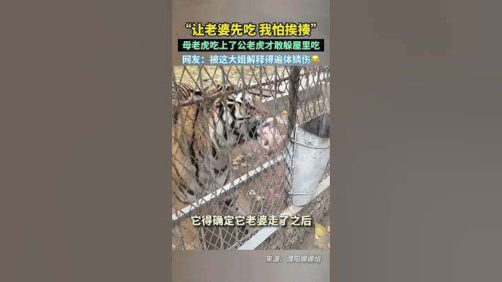 “让老婆先吃，我怕挨揍”。 母老虎吃上了公老虎才敢躲屋里吃。网友：被这大姐解释得遍体鳞伤…#母老虎吃上了公老虎才敢躲屋里吃 #让老婆先吃 #老虎