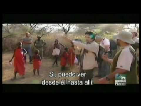 Bacilos Africa Capitulo 4 parte 1