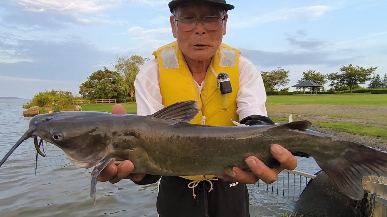 2025年8月16日真夏の霞ケ浦で4時間釣りをしてみたら大爆釣だった