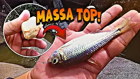 Como fazer uma massa boa para Lambari?