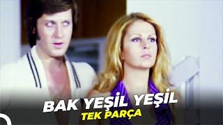 Bak Yeşil Yeşil | Ahmet Özhan - Hale Soygazi Eski Türk Filmi Full İzle