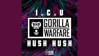 Hush Hush - I.C.U