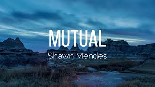 Shawn Mendes - Mutual (Lyrics)