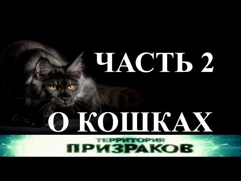Территория Призраков. О кошках - 2 ЧАСТЬ. 22 серия.